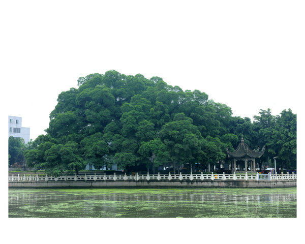 �䰸�Ř�(sh��),�Ɍٵر��o(h��)